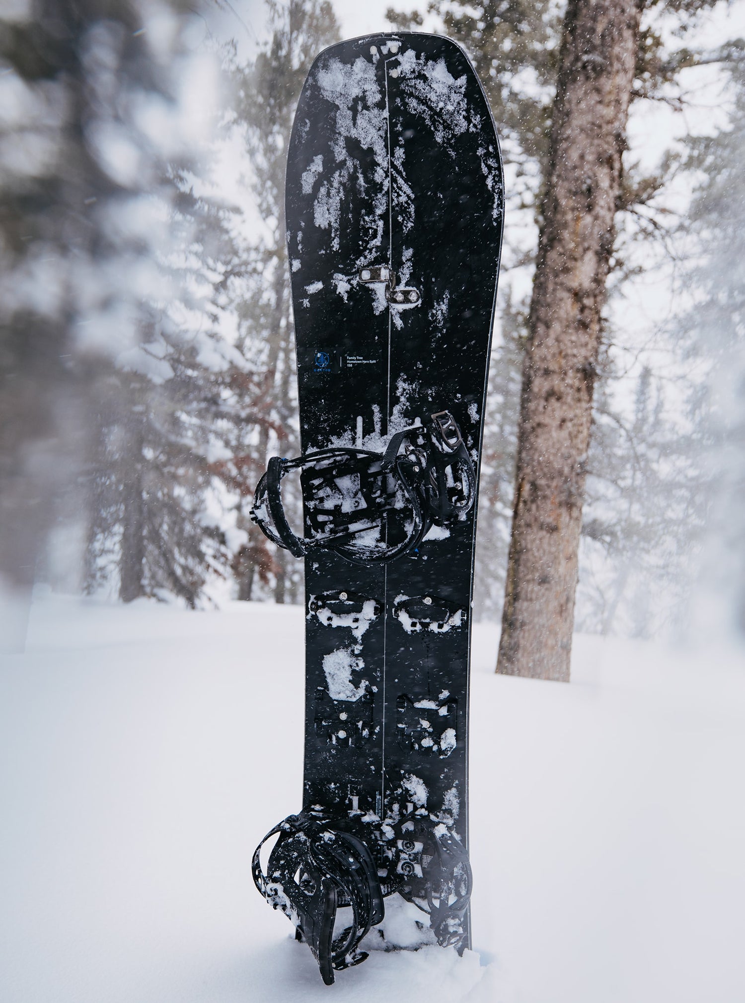 FAMILY TREE HOMETOWN HERO SPLIT