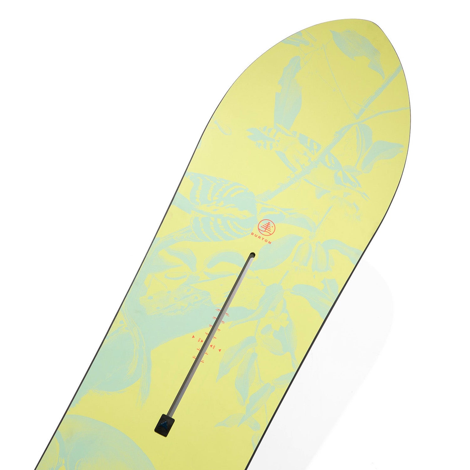 FAMILY TREE SKETCHARTIST