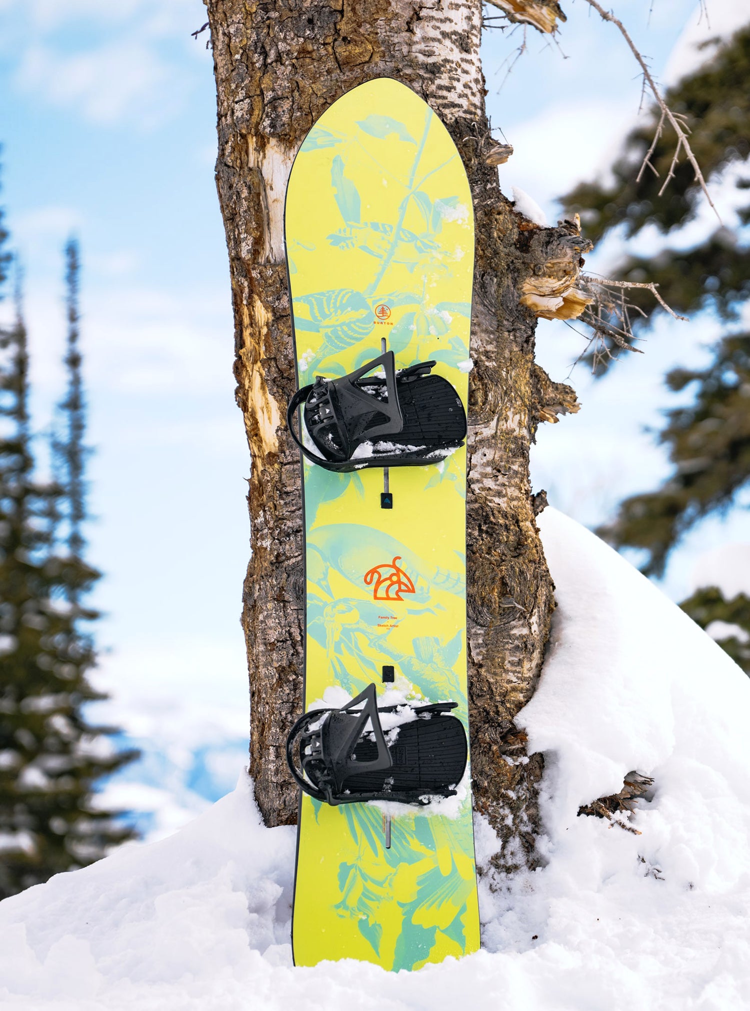 FAMILY TREE SKETCHARTIST