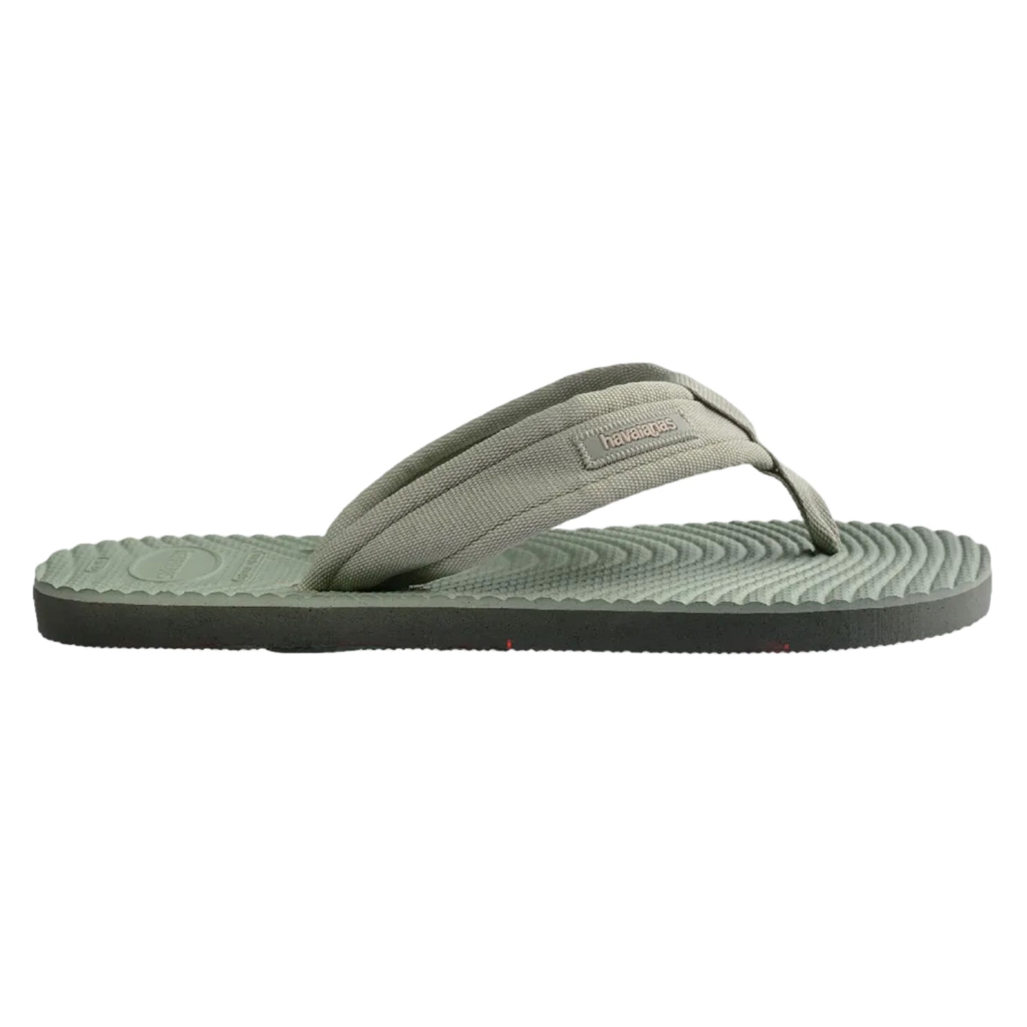SURFER COAST OLIVE GREEN