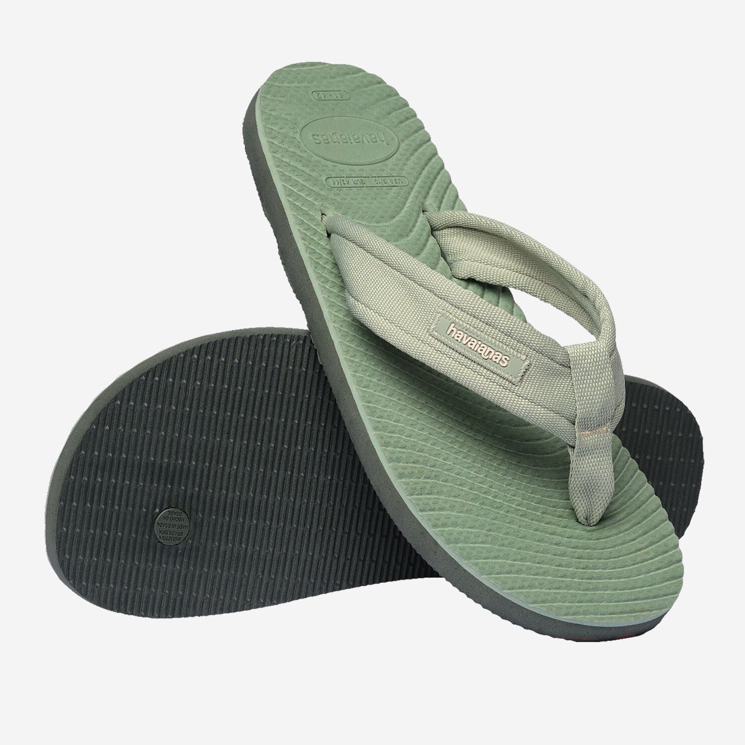 SURFER COAST OLIVE GREEN