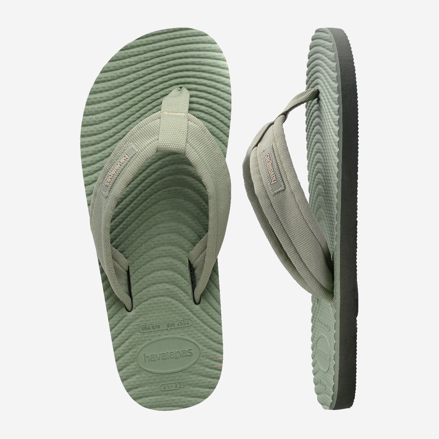 SURFER COAST OLIVE GREEN