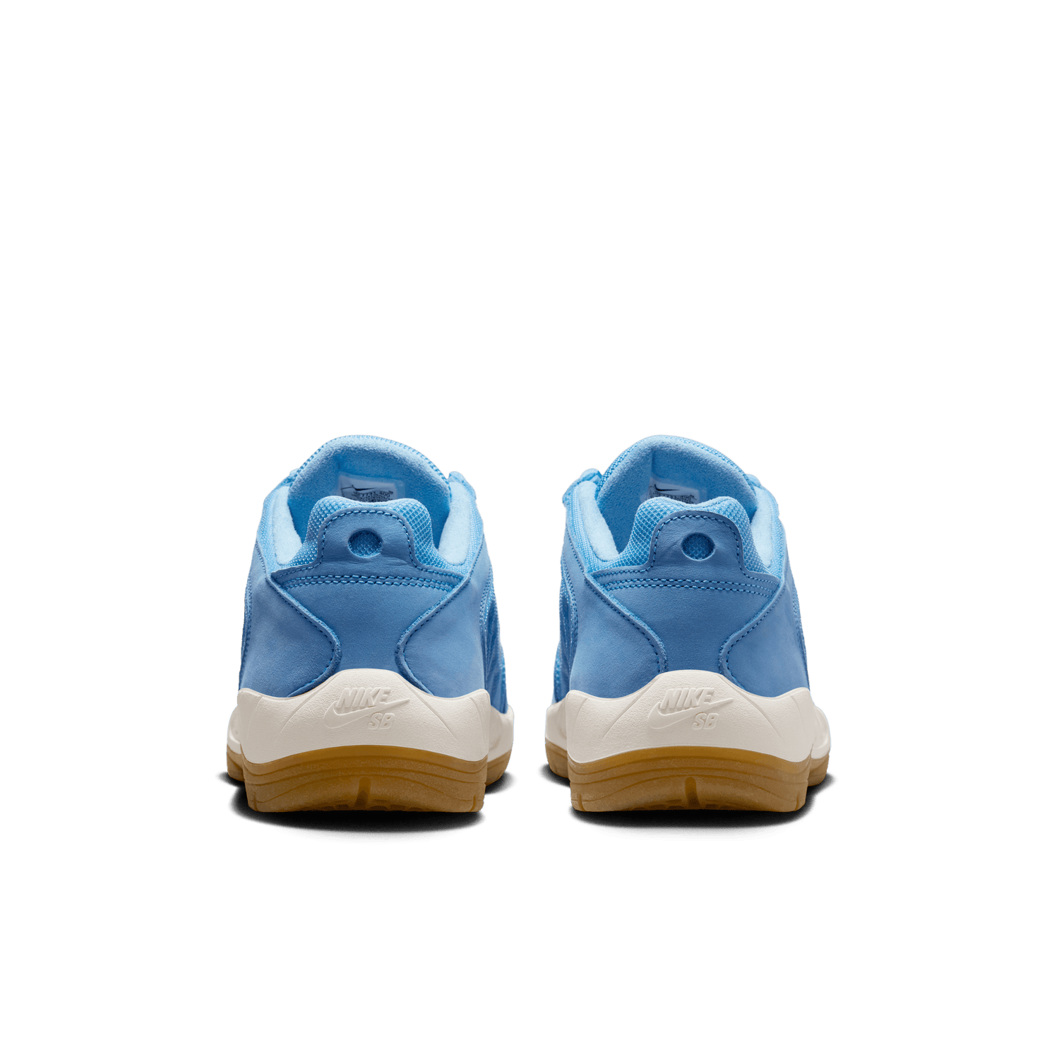 VERTEBRAE UNIVERSITY BLUE / SAIL