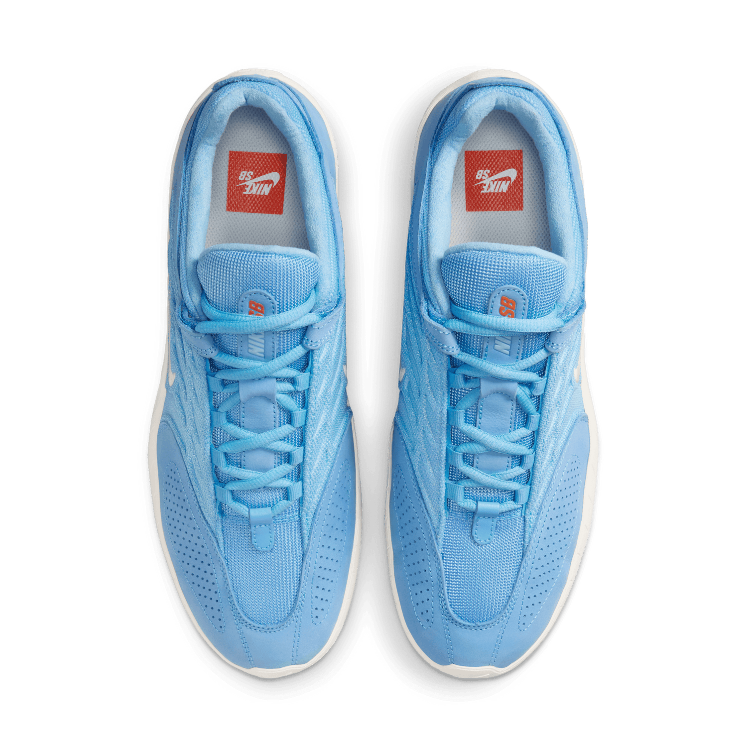 VERTEBRAE UNIVERSITY BLUE / SAIL