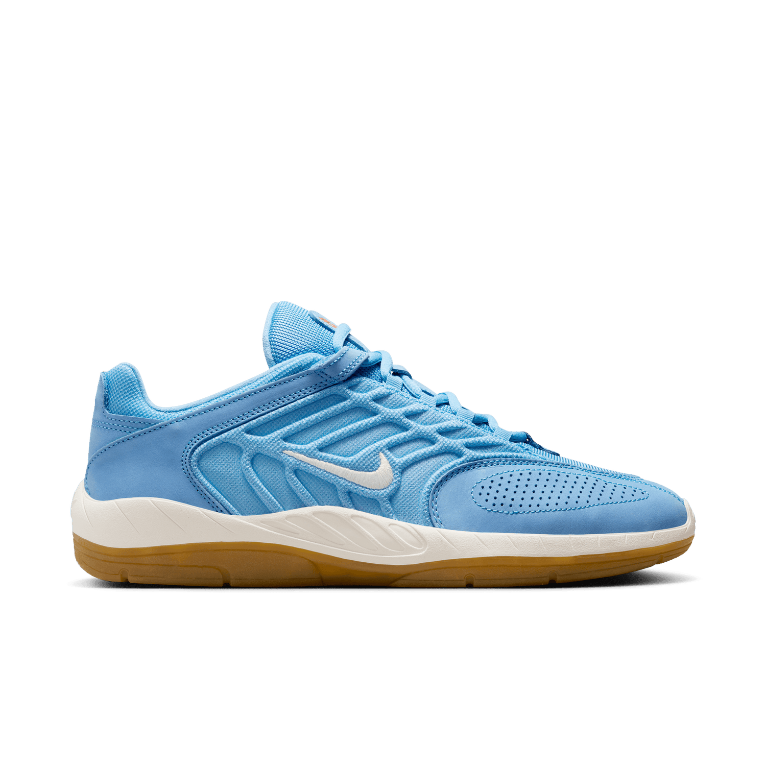 VERTEBRAE UNIVERSITY BLUE / SAIL