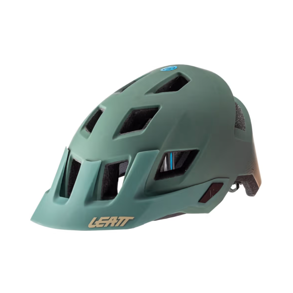 MTB ALLMTN 1.0 V22 HELMET IVY