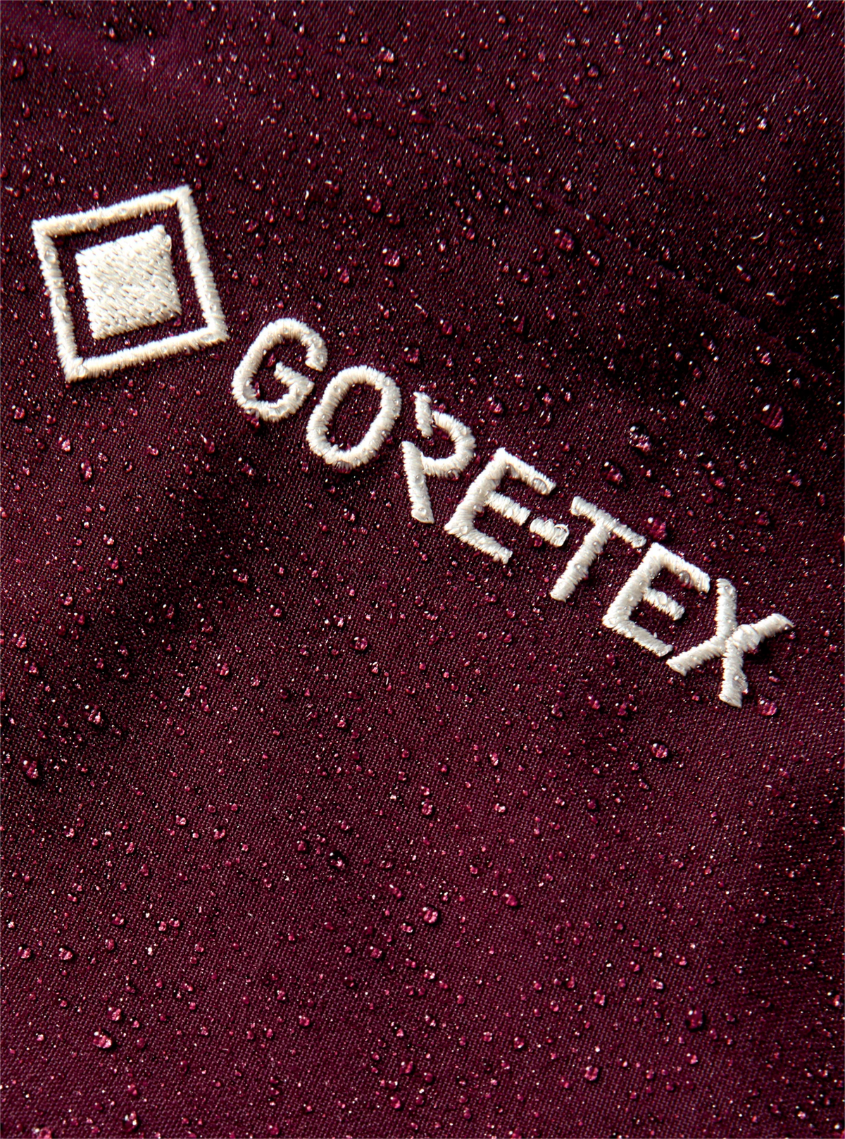 [AK] SWASH INSULATED GORE-TEX 2L PANTS RUM RAISIN