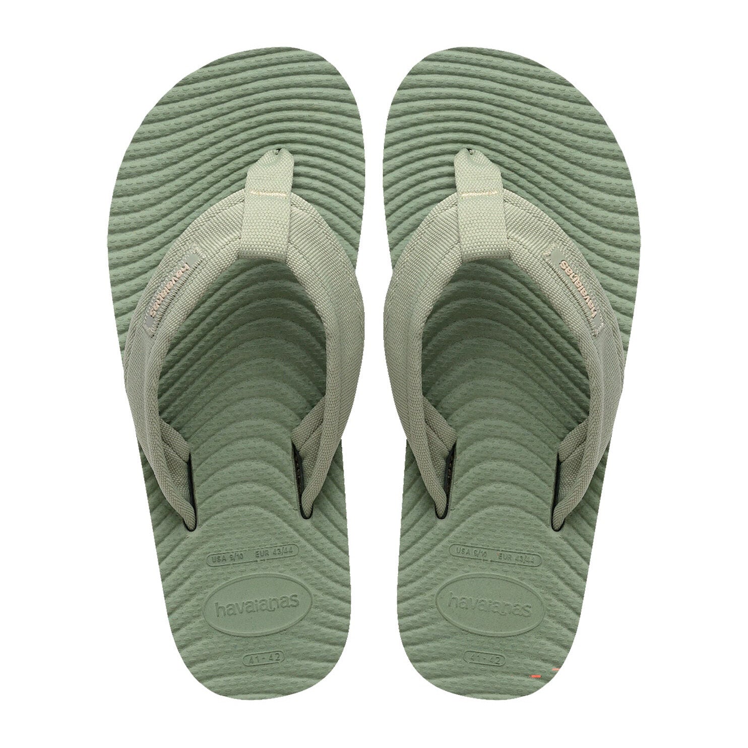 SURFER COAST OLIVE GREEN