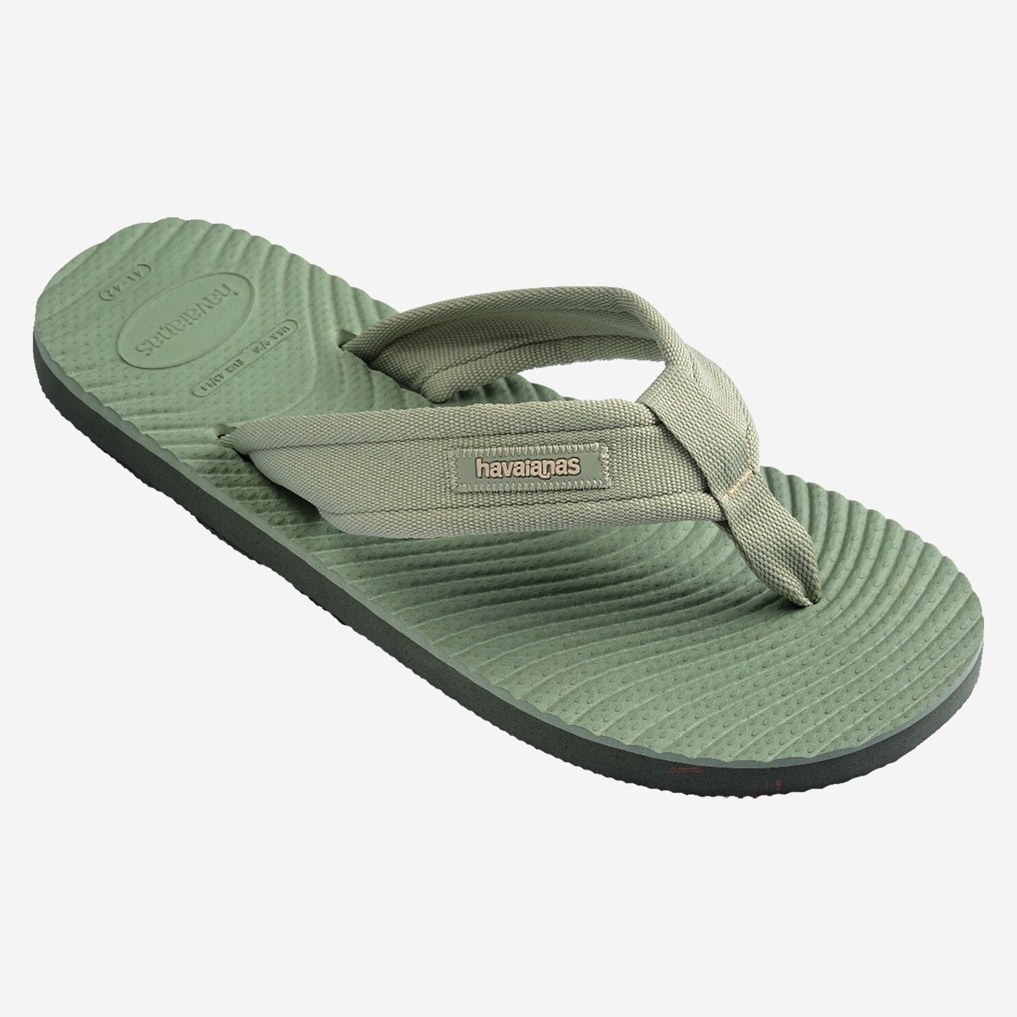 SURFER COAST OLIVE GREEN