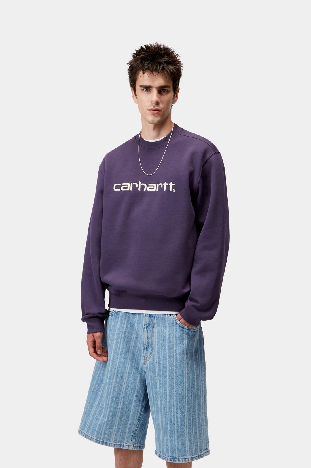 CARHARTT SWEAT LOKERS / SALT
