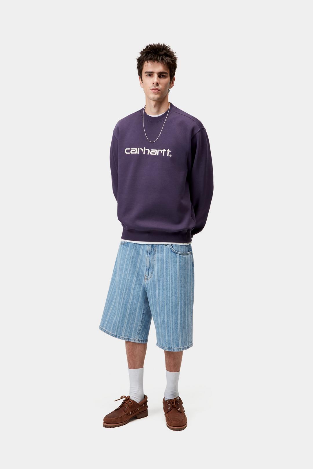 CARHARTT SWEAT LOKERS / SALT