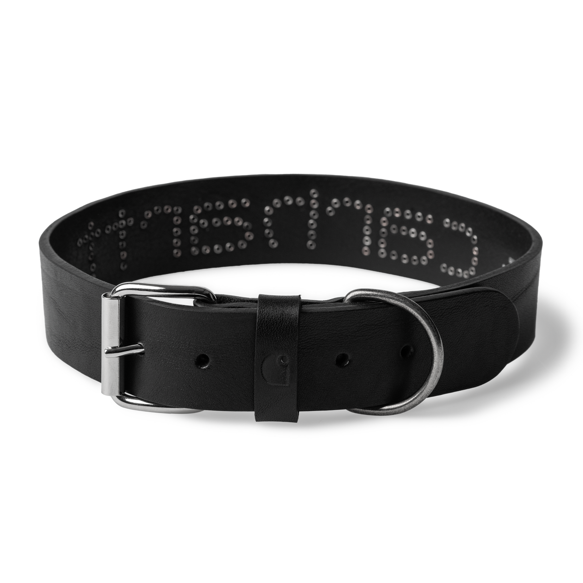 SCRIPT STUDS DOG COLLAR BLACK