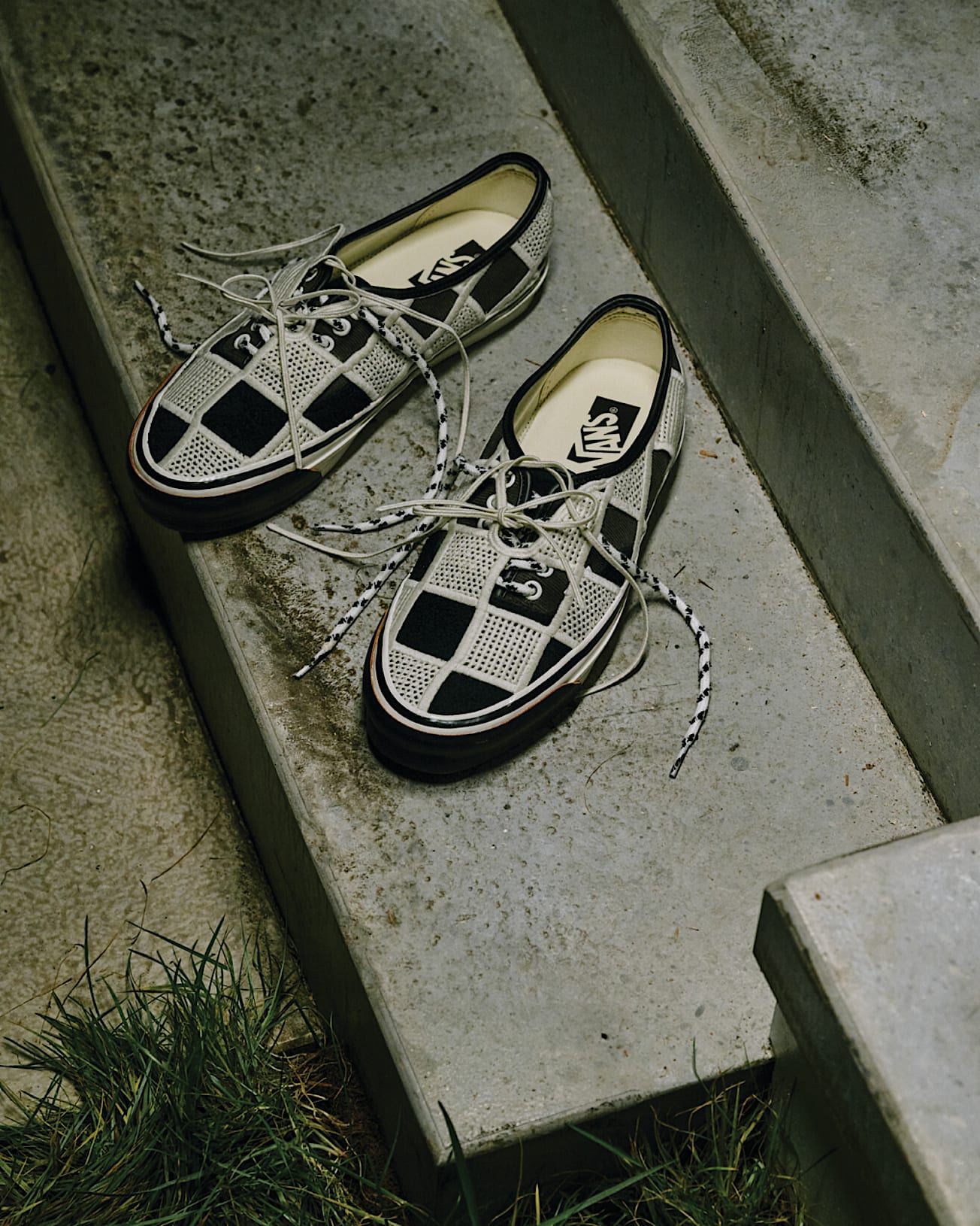 LX AUTHENTIC 44 SHELL KNIT BLACK / EGRET