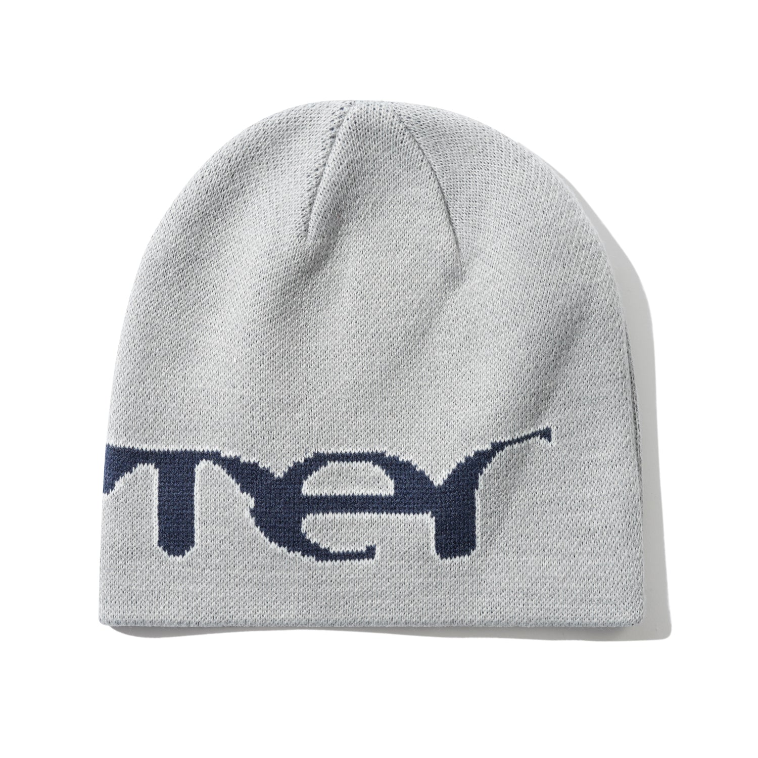 WITNESS SKULLY BEANIE GREY