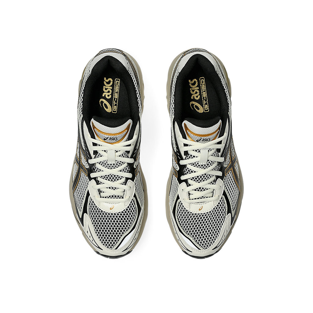GT-2160 CREAM / PURE GOLD